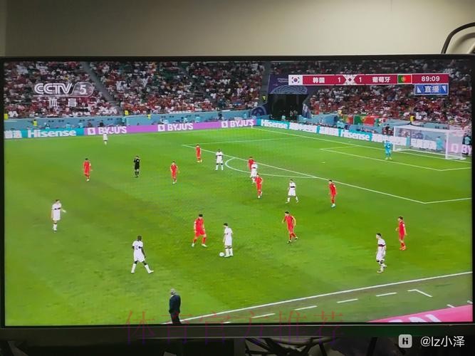 免费观看俄罗斯世界杯直播精彩瞬间！